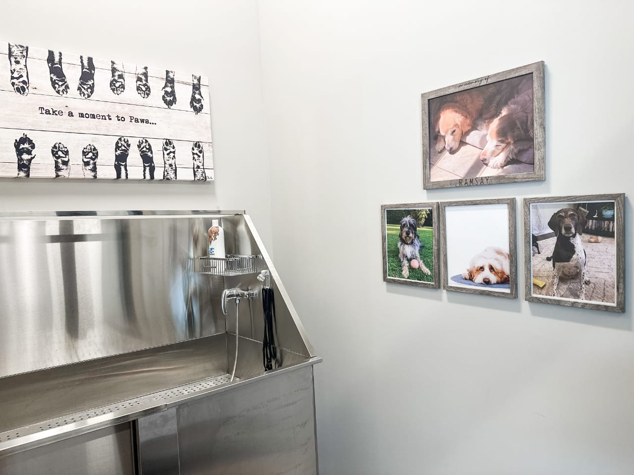 Dog washing station at Lanark Lifestyles Luxury Senior Apartments
