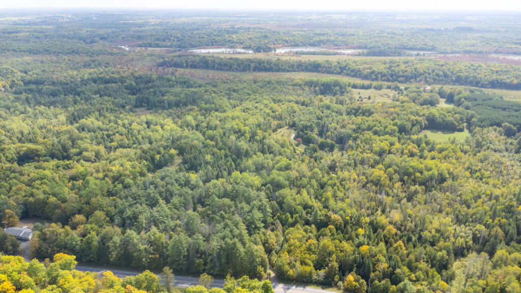 Perth, Ontarios luscious greenery and forests